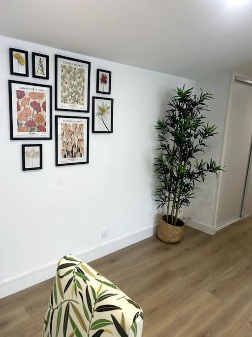 Ferienwohnung Cocon Chaleureux Au Coeur De Mirepoix Mirepoix  Exterior foto